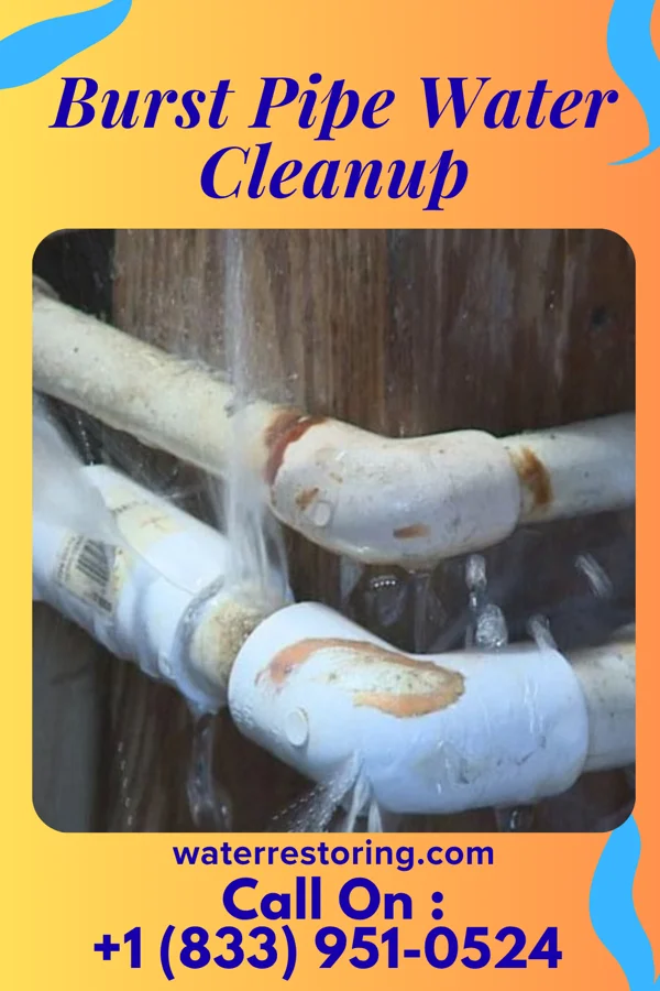 Burst Pipe Water Cleanup in Richmond, KY