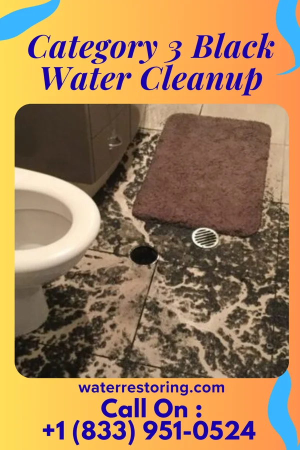 Category 3 Black Water Cleanup in Richmond, KY
