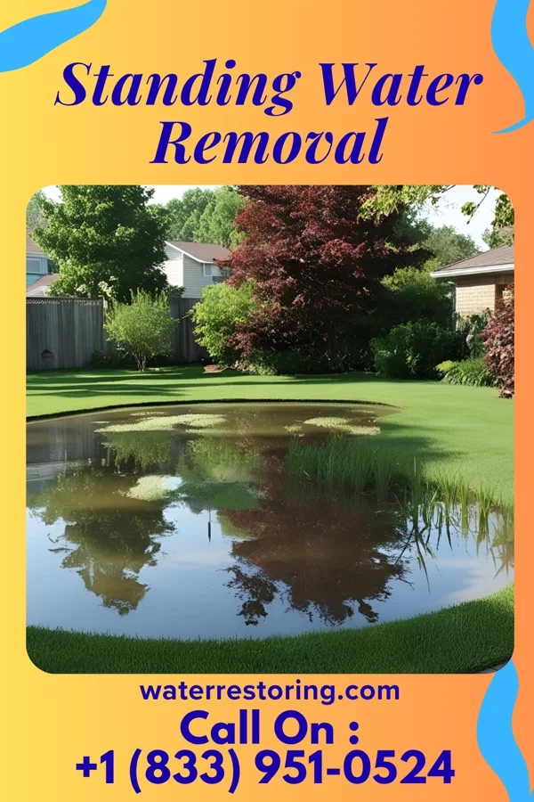 Standing Water Removal in Richmond, KY